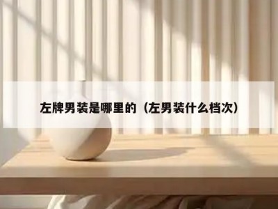 左牌男装是哪里的（左男装什么档次）
