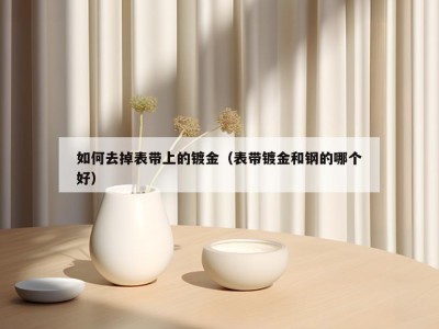 如何去掉表带上的镀金（表带镀金和钢的哪个好）