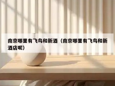 南京哪里有飞鸟和新酒（南京哪里有飞鸟和新酒店呢）