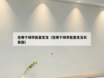 在哪个城市能鉴定玉（在哪个城市能鉴定玉石真假）