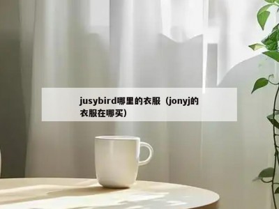 jusybird哪里的衣服（jonyj的衣服在哪买）
