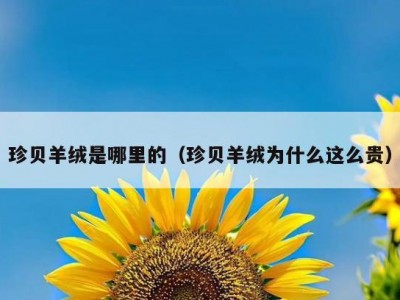 珍贝羊绒是哪里的（珍贝羊绒为什么这么贵）