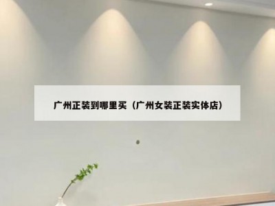 广州正装到哪里买（广州女装正装实体店）