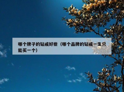 哪个牌子的钻戒好些（哪个品牌的钻戒一生只能买一个）