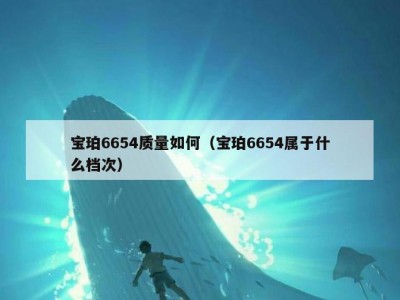 宝珀6654质量如何（宝珀6654属于什么档次）
