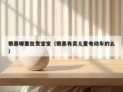 银基哪里批发宝宝（银基有卖儿童电动车的么）