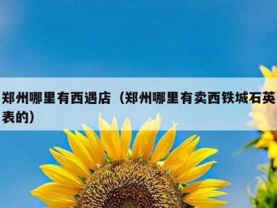 郑州哪里有西遇店（郑州哪里有卖西铁城石英表的）