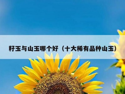 籽玉与山玉哪个好（十大稀有品种山玉）
