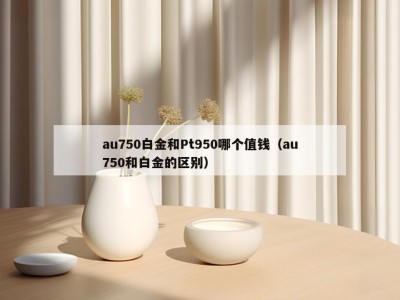 au750白金和Pt950哪个值钱（au750和白金的区别）
