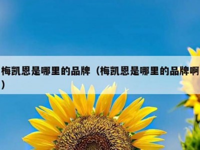 梅凯恩是哪里的品牌（梅凯恩是哪里的品牌啊）