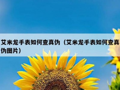 艾米龙手表如何查真伪（艾米龙手表如何查真伪图片）