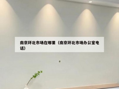 南京环北市场在哪里（南京环北市场办公室电话）