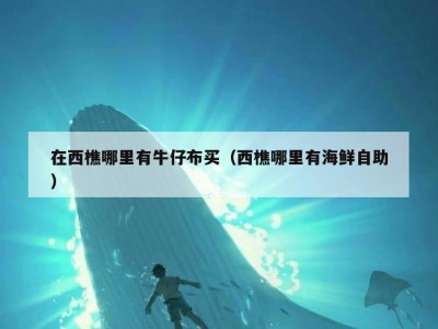 在西樵哪里有牛仔布买（西樵哪里有海鲜自助）