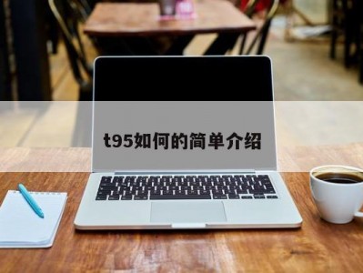 t95如何的简单介绍