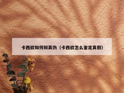 卡西欧如何辩真伪（卡西欧怎么鉴定真假）
