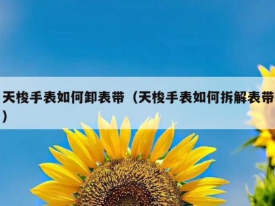 天梭手表如何卸表带（天梭手表如何拆解表带）