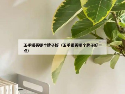 玉手镯买哪个牌子好（玉手镯买哪个牌子好一点）