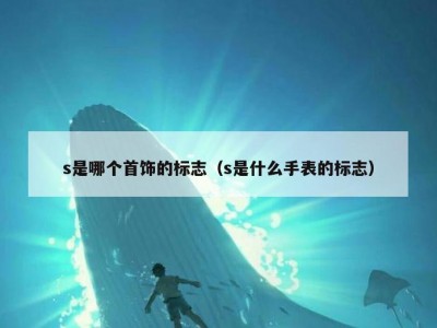 s是哪个首饰的标志（s是什么手表的标志）