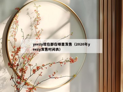 yeezy现在都在哪里发售（2020年yeezy发售时间表）
