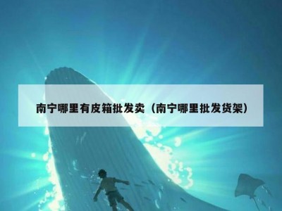 南宁哪里有皮箱批发卖（南宁哪里批发货架）
