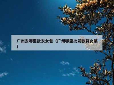 广州去哪里批发女包（广州哪里批发欧货女装）