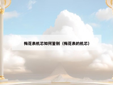 梅花表机芯如何鉴别（梅花表的机芯）