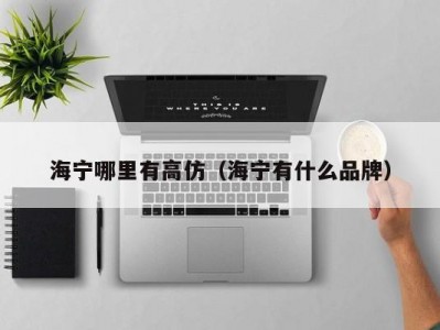 海宁哪里有高仿（海宁有什么品牌）