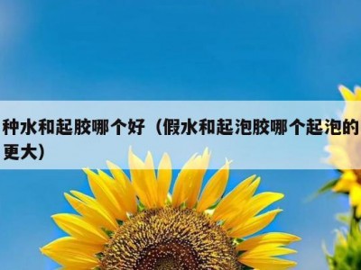 种水和起胶哪个好（假水和起泡胶哪个起泡的更大）